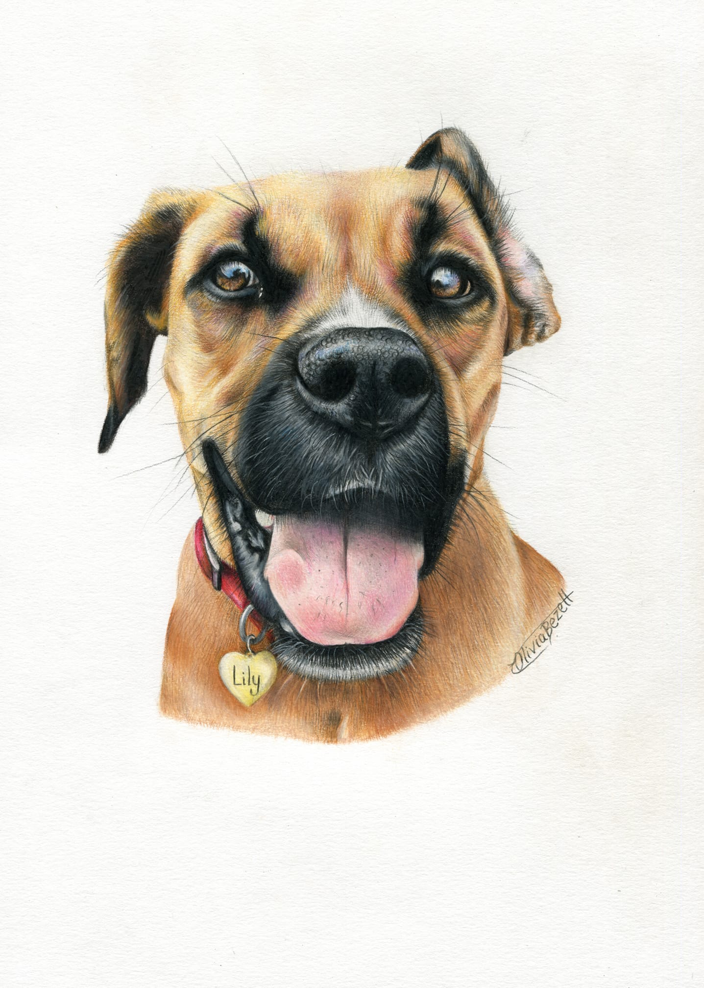 Pet Commission Gift Voucher