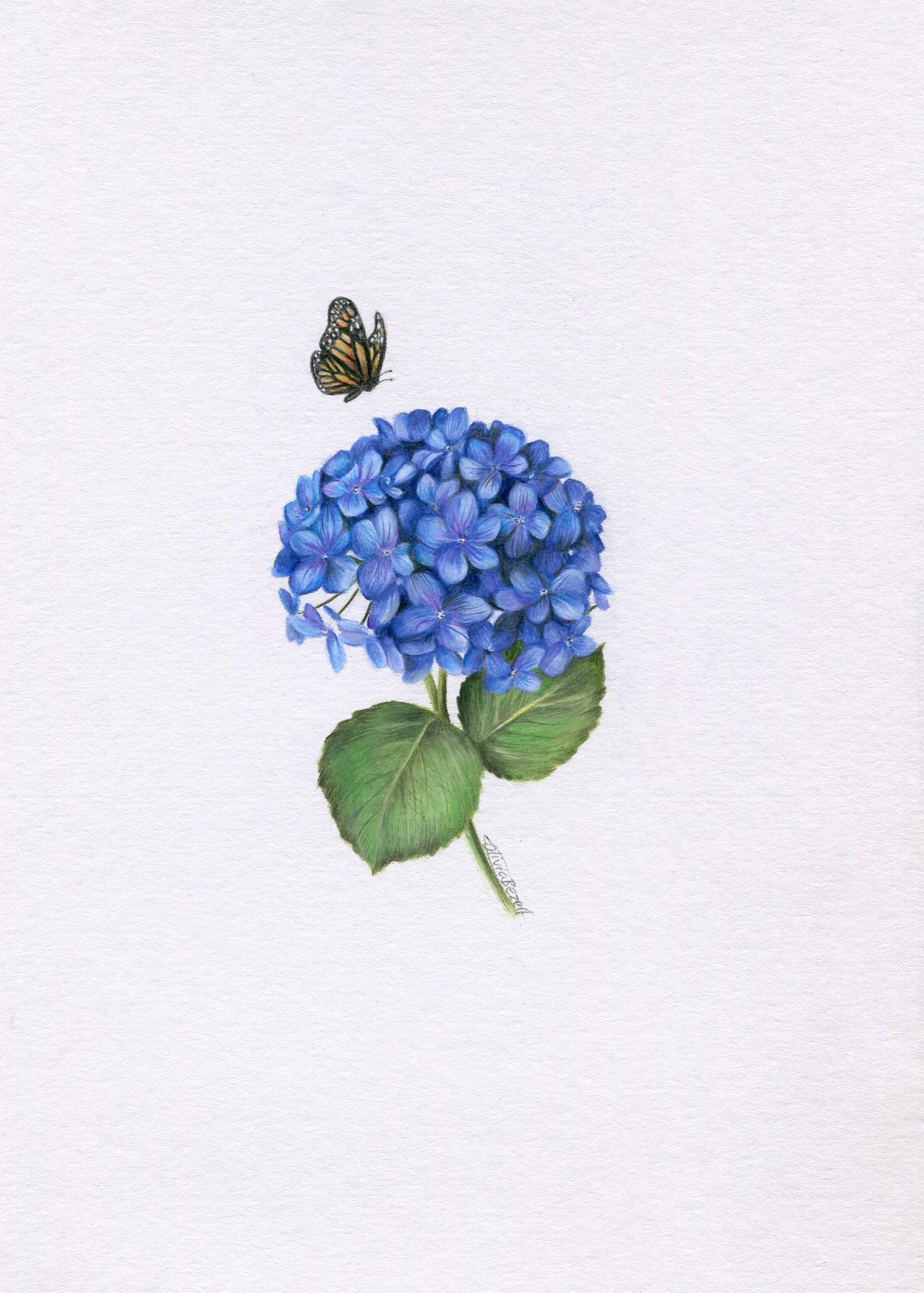 Mini one-off original 'Hydrangea and Butterfly'