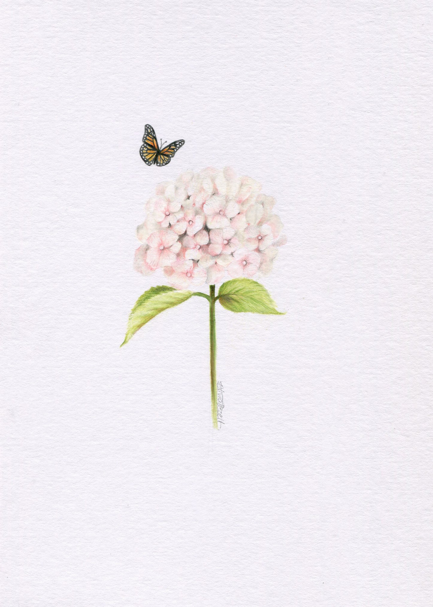 Mini one-off original 'Hydrangea and Butterfly 3'