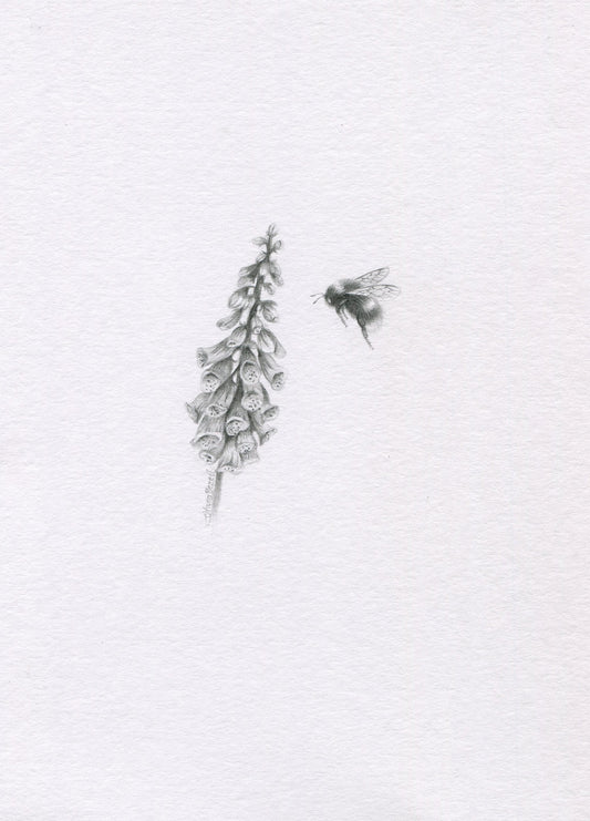 Mini one-off original 'Fox Glove and Bee'