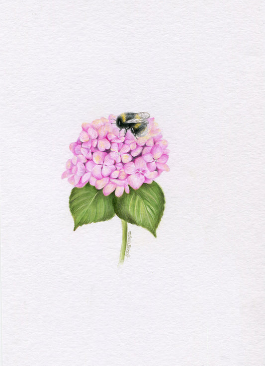 Mini one-off original 'Hydrangea and Bee'
