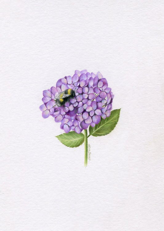 Mini one-off original 'Hydrangea and Bee 2'