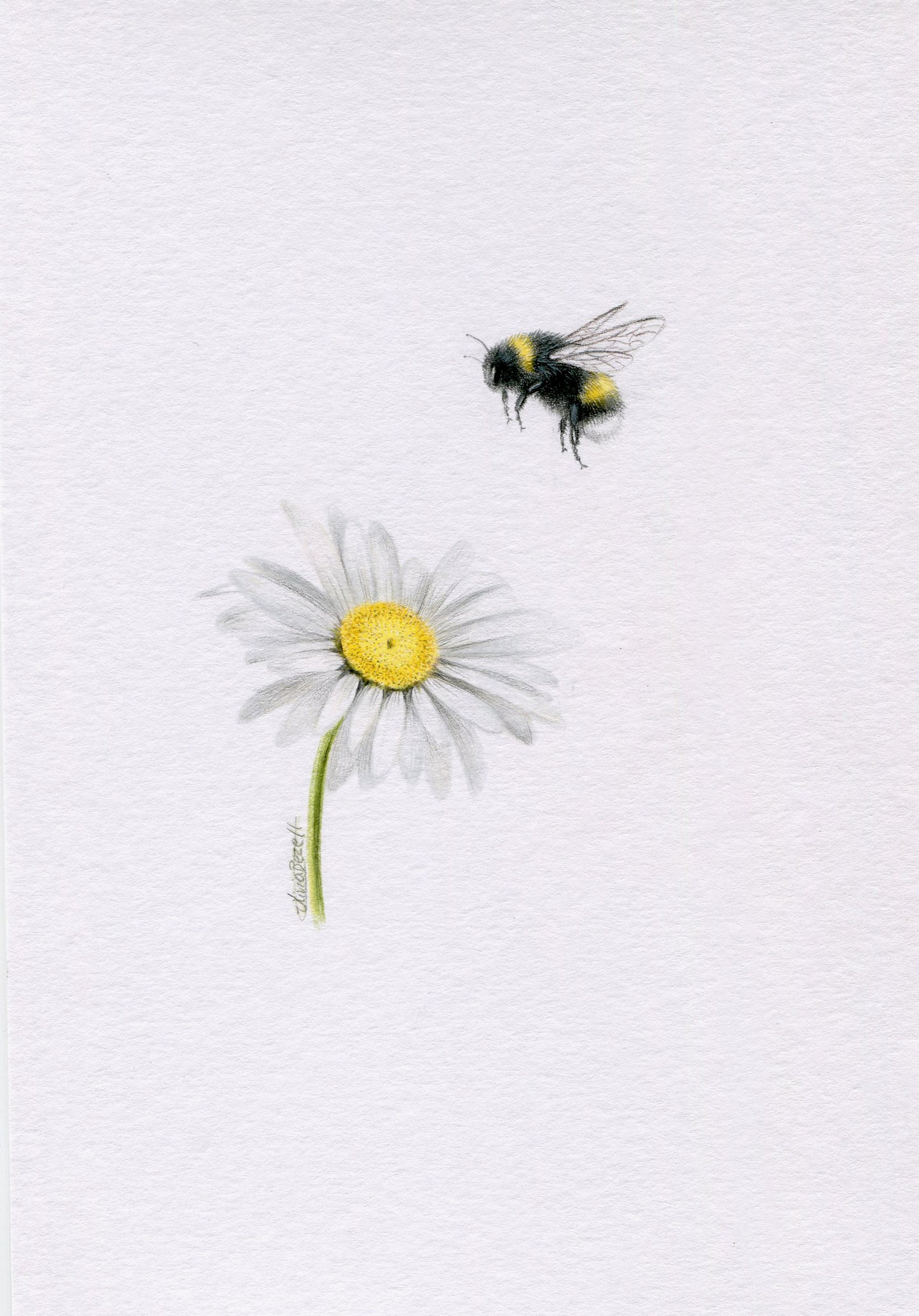 Mini one-off original 'Bee with Daisy'