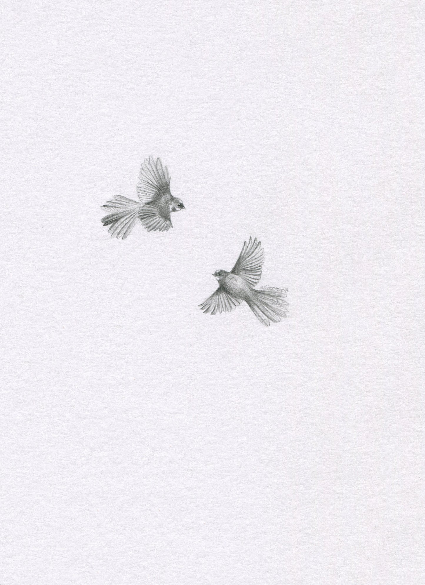 Mini one-off original 'Fantails Flying'