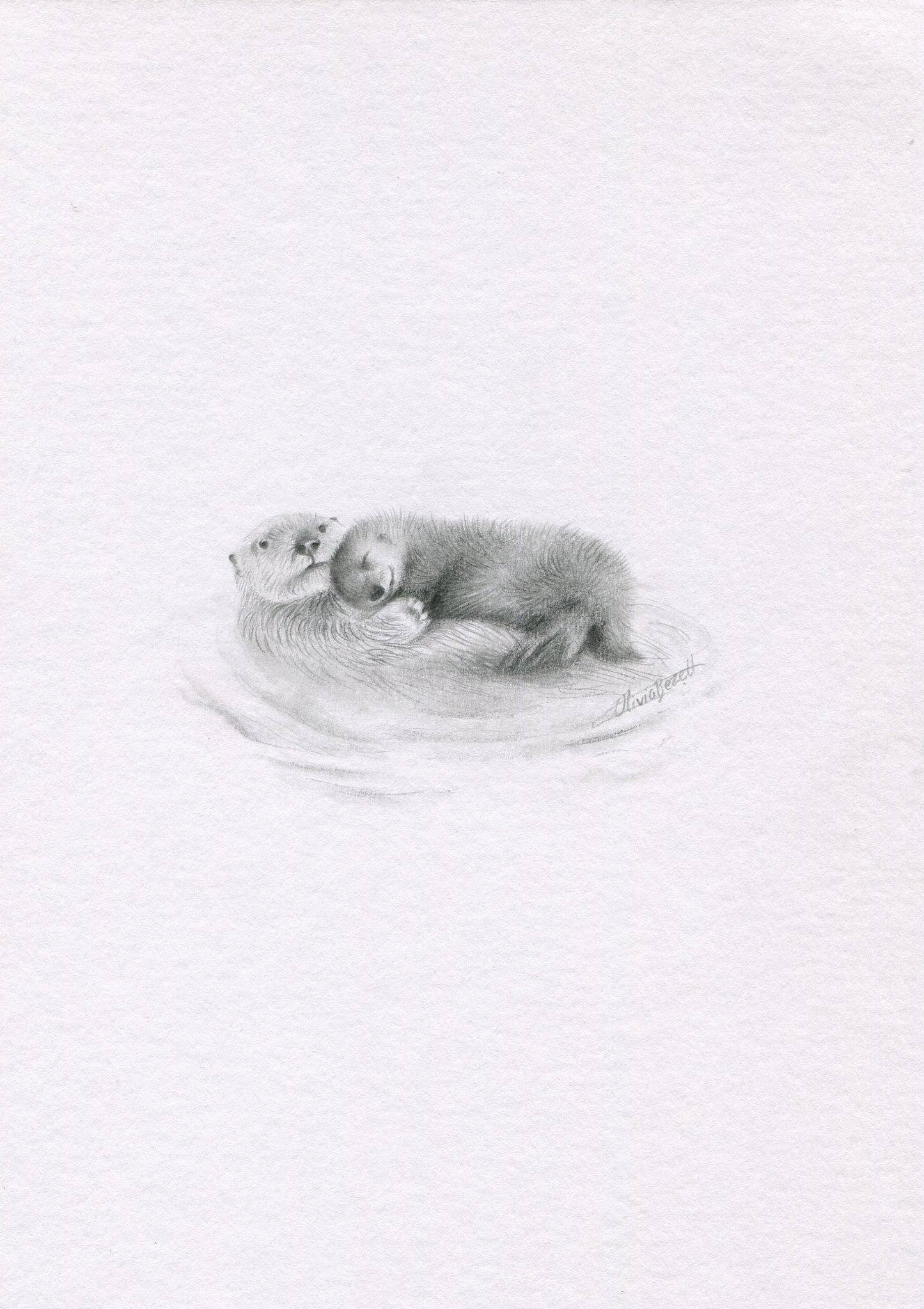 Mini one-off original 'Sea Otters'