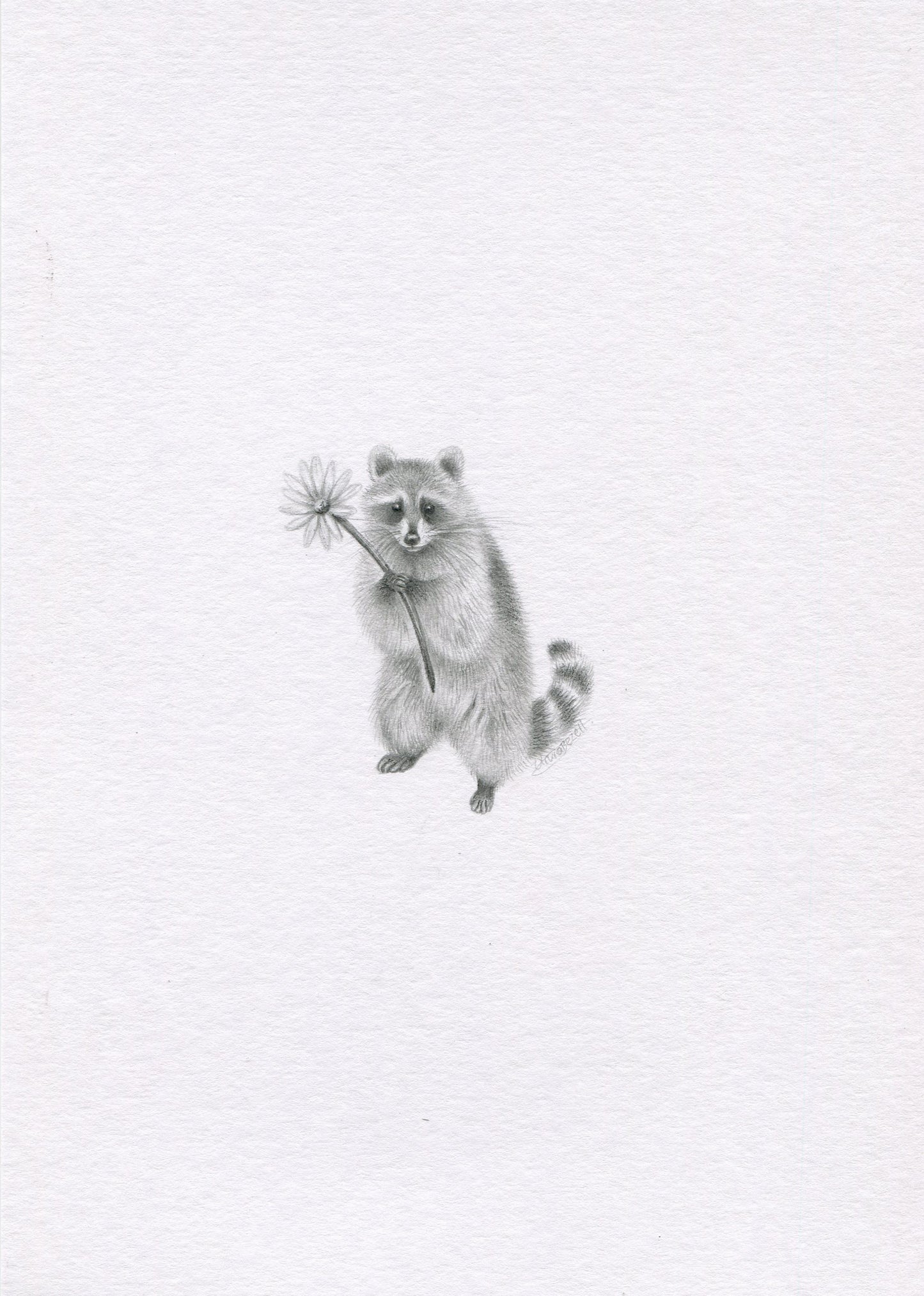 Mini one-off original 'Raccoon with Flower'