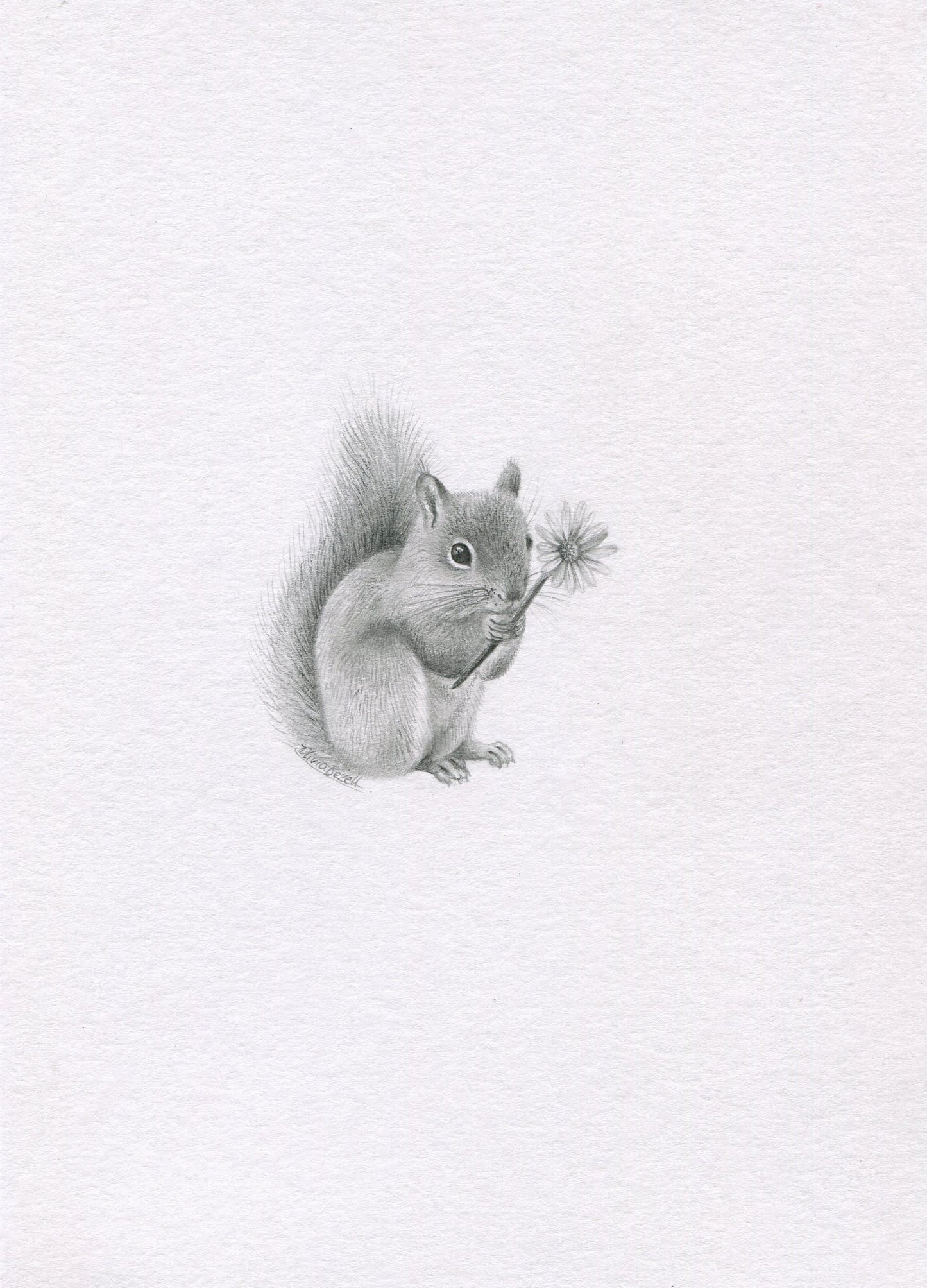 Mini one-off original 'Squirrel with Flower'