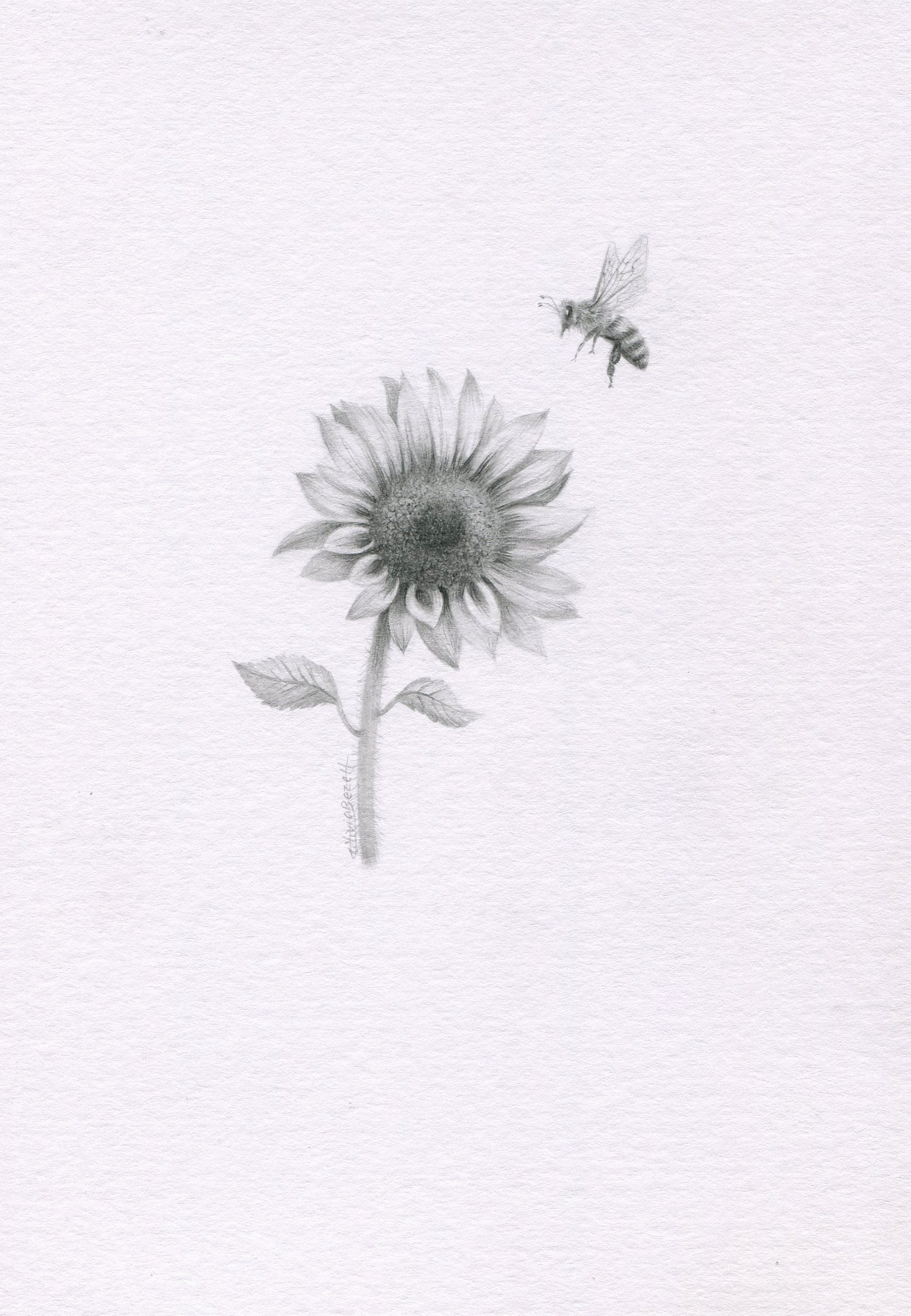 Mini one-off original 'Sunflower and Honey Bee'