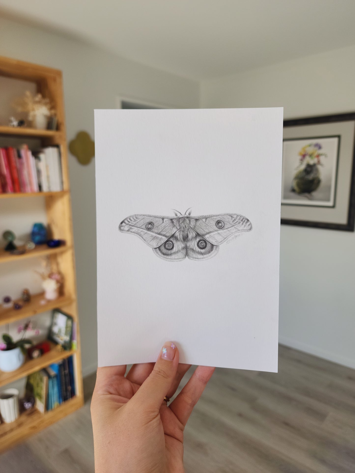 Mini one-off original 'Gum Emperor Moth'