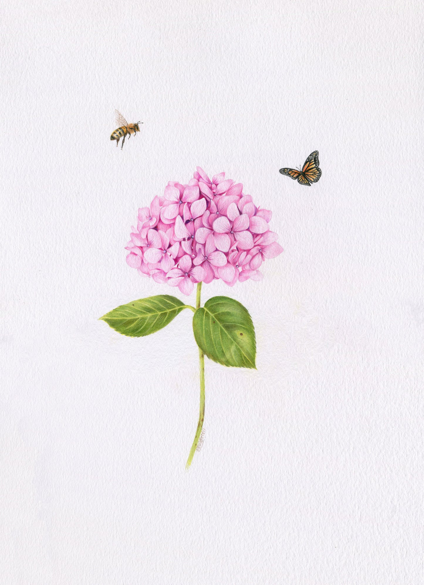 Original 'Pink Hydrangea, Bee and Butterfly'