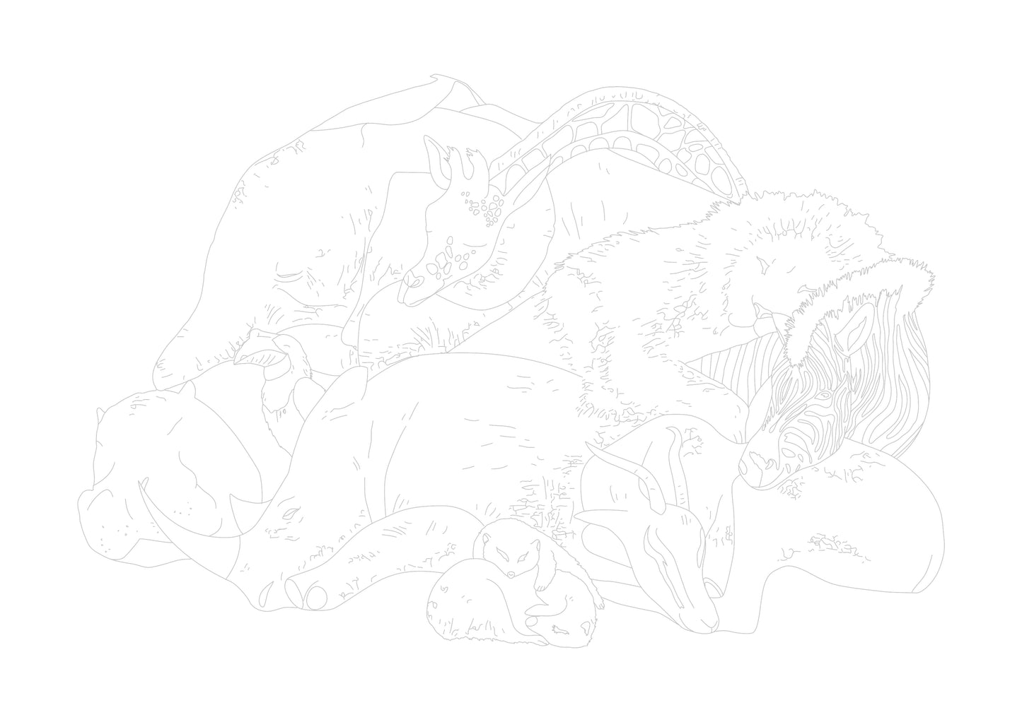 Feathers & Fur Colouring Book