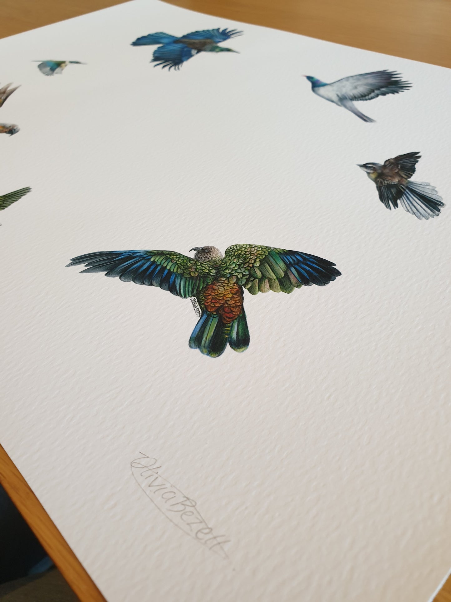 Limited edition 'The Locals' Print