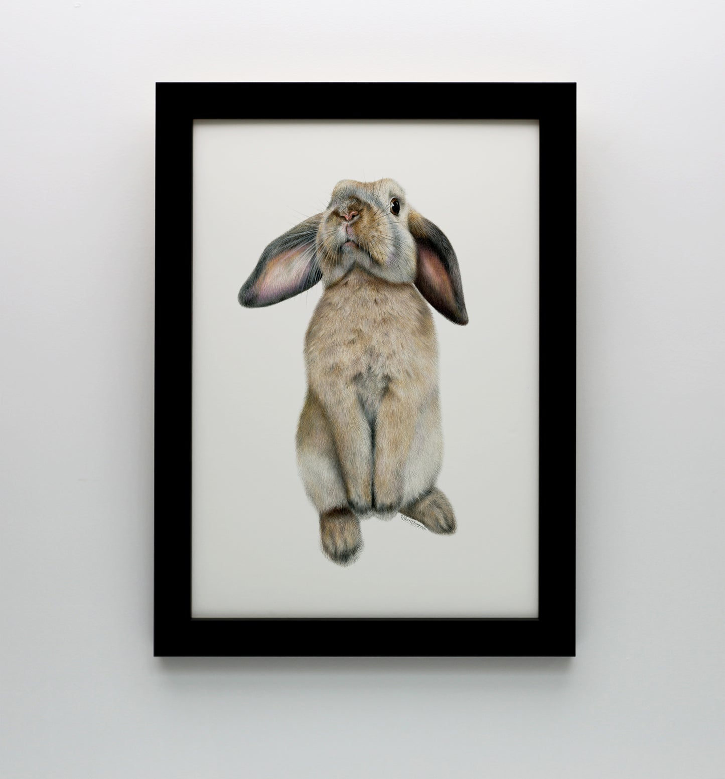 Curious Bunny Print