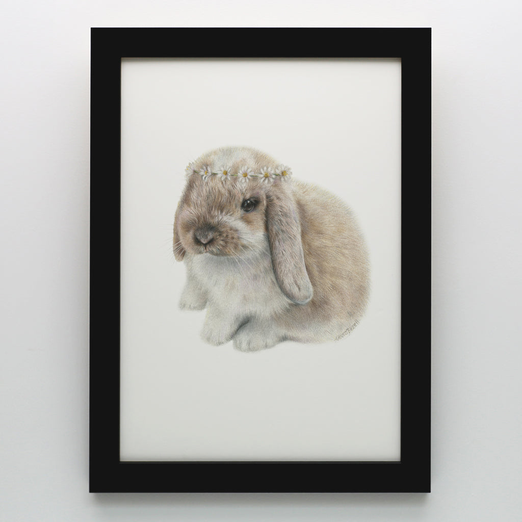 Daisy Bunny Print