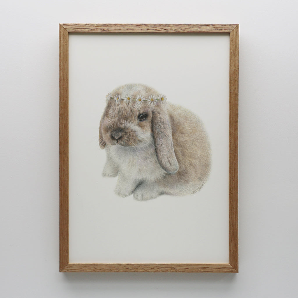 Daisy Bunny Print