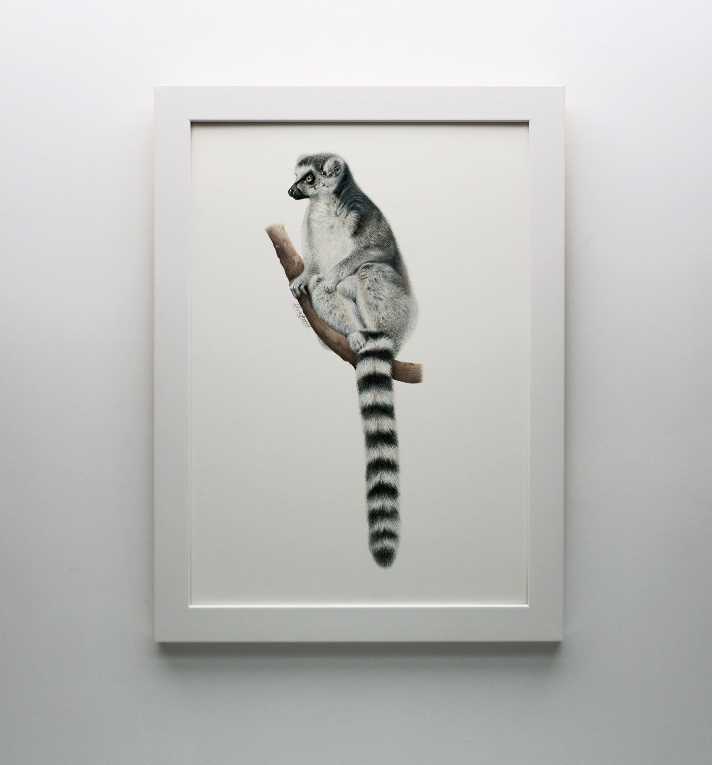 Lemur Print