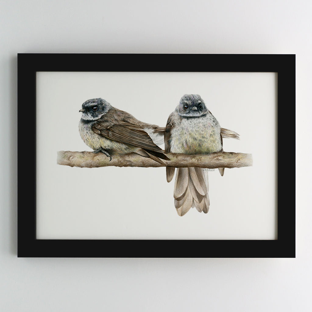 Cheeky Fantails Print
