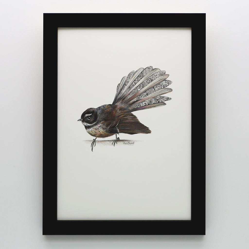Fantail Print