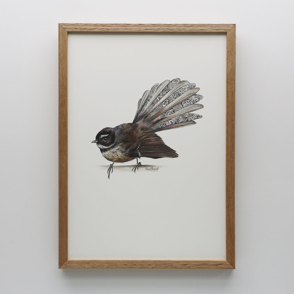 Fantail Print