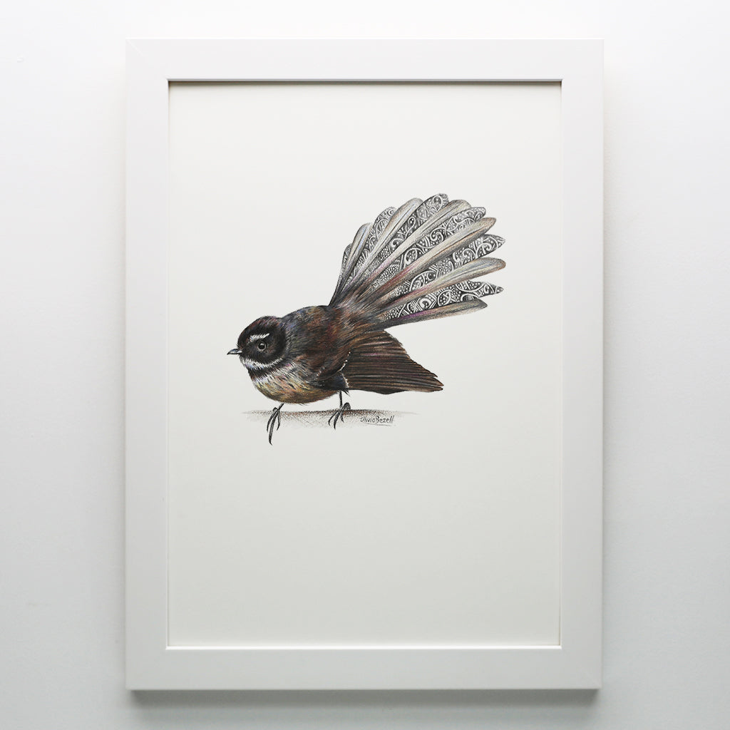 Fantail Print
