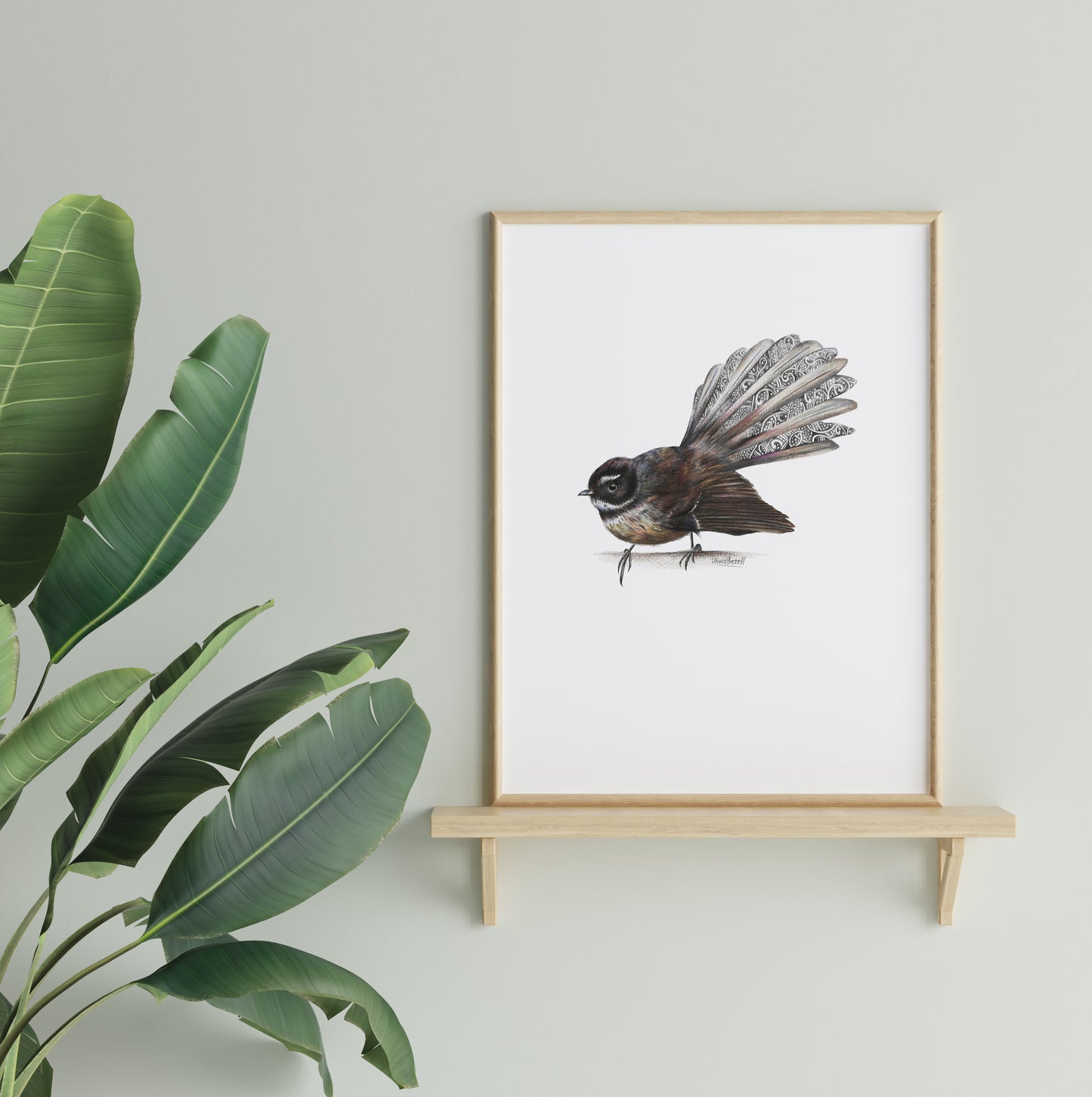 Fantail Print