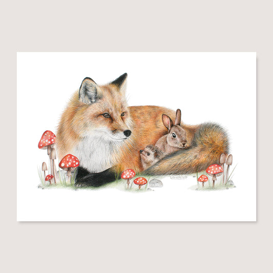 Fox & Friends