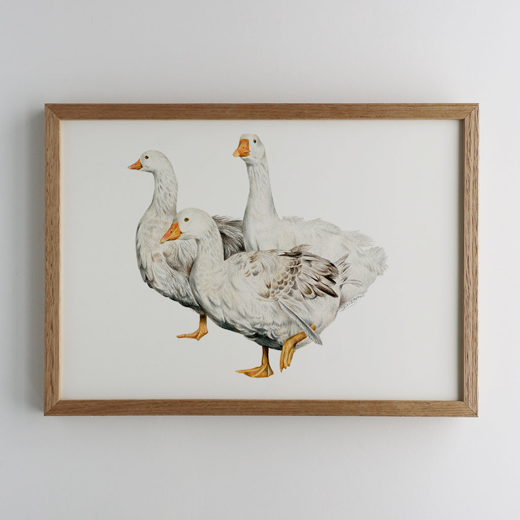 Geese Family Print