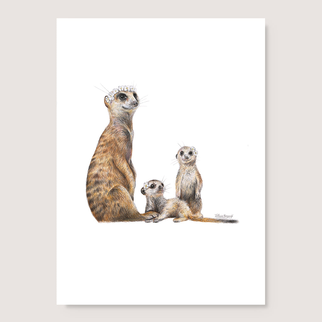 Meerkats Print