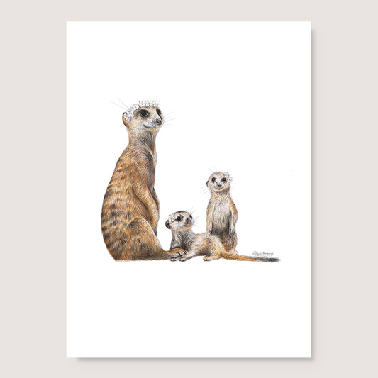 Meerkats Print
