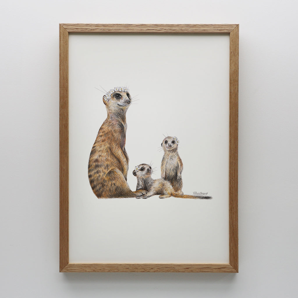 Meerkats Print