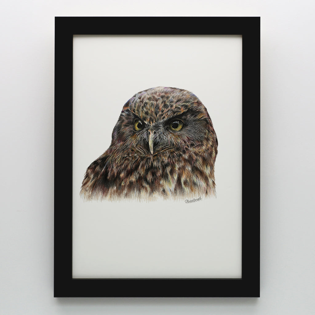 Morepork Print