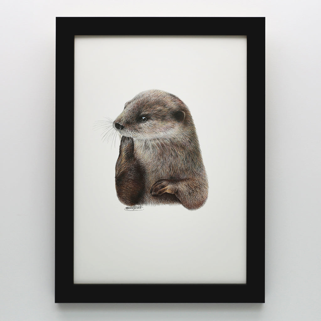 Otter Print
