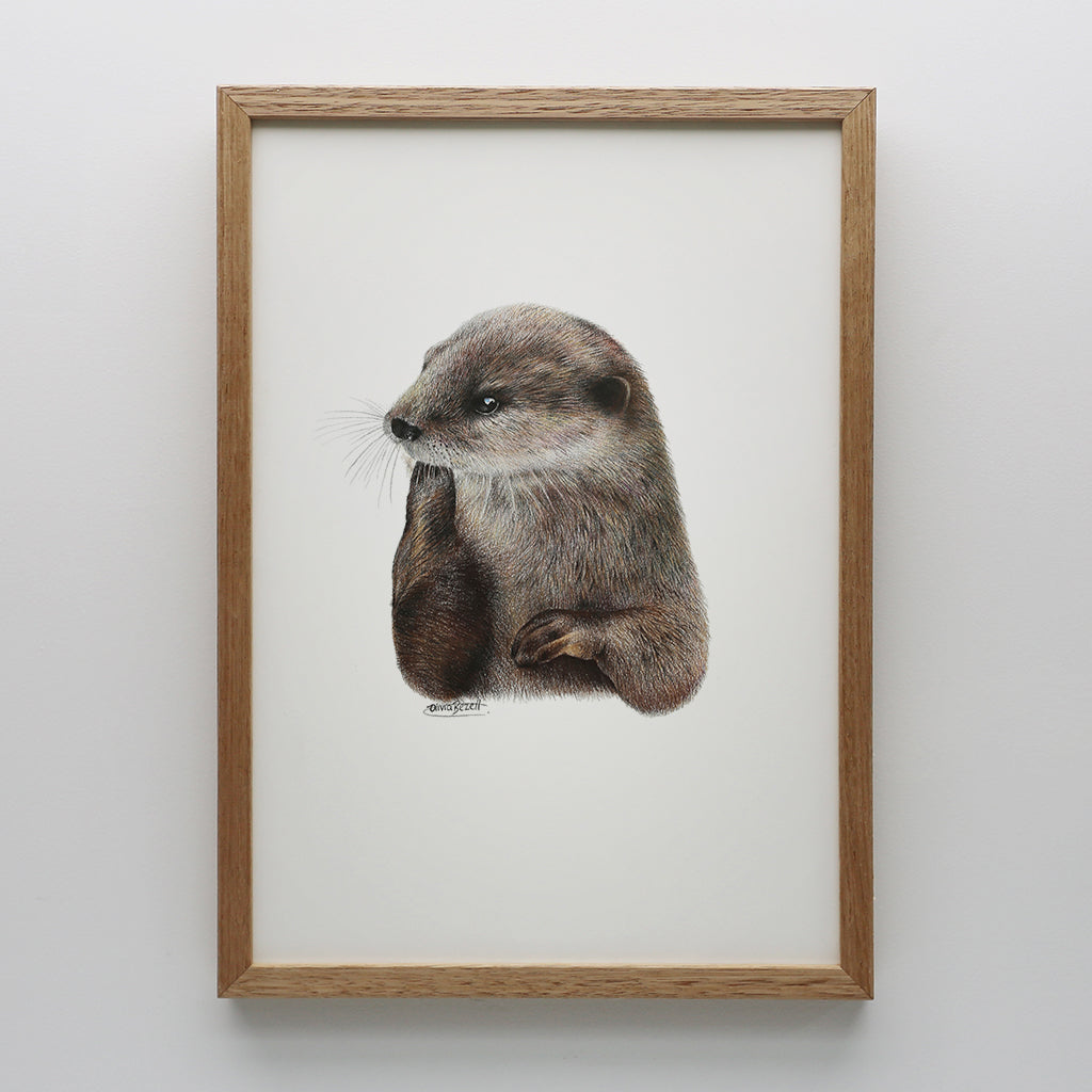 Otter Print