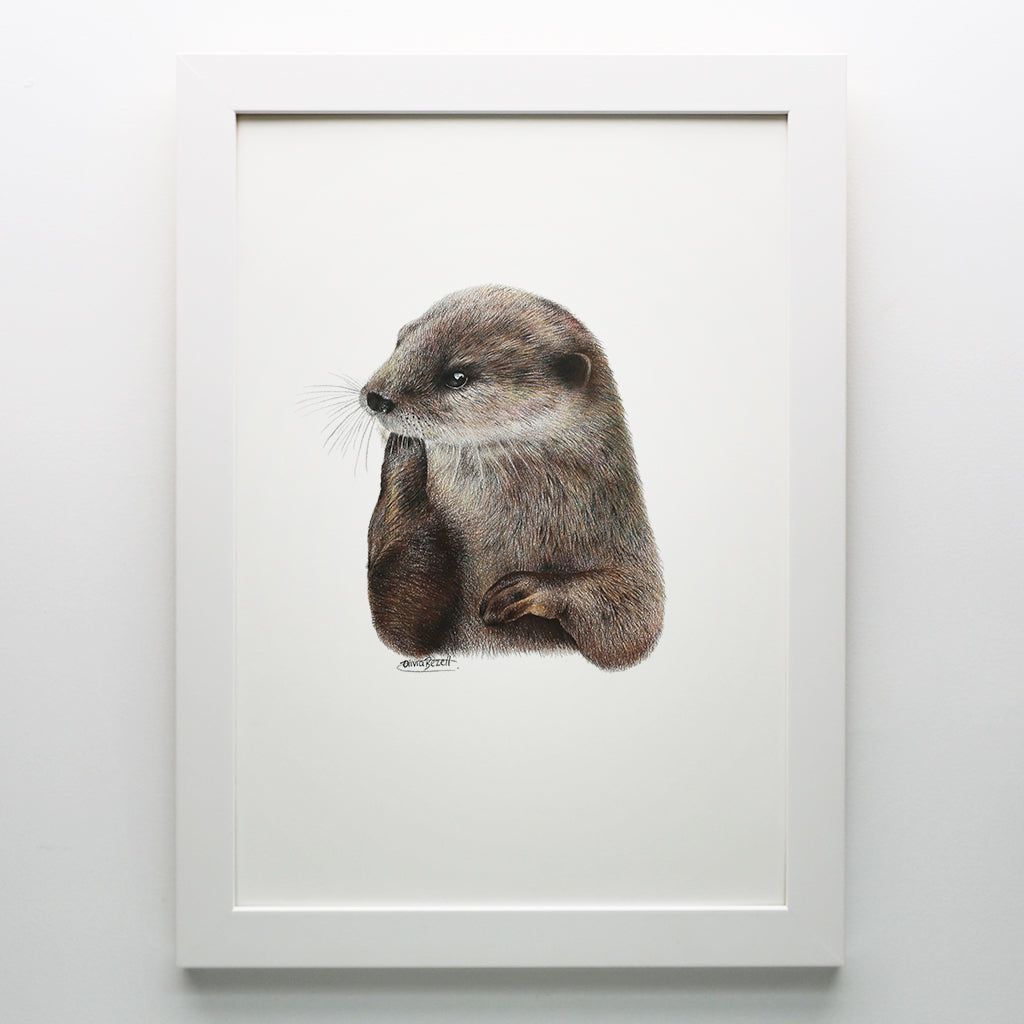 Otter Print