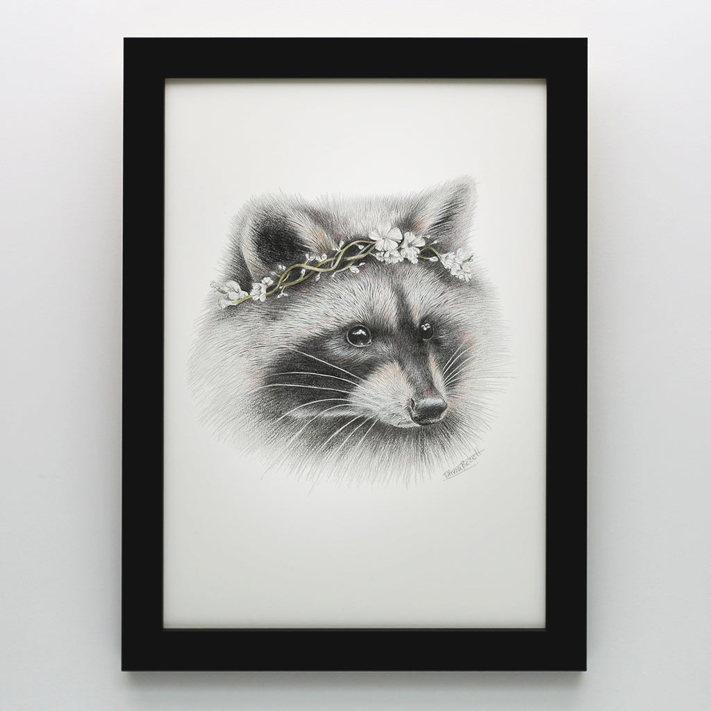 Raccoon Print