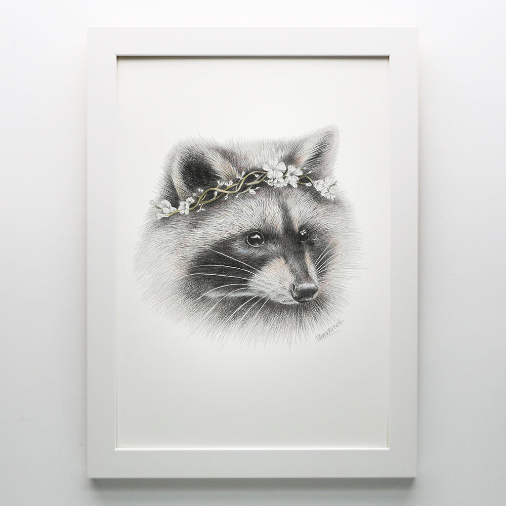 Raccoon Print