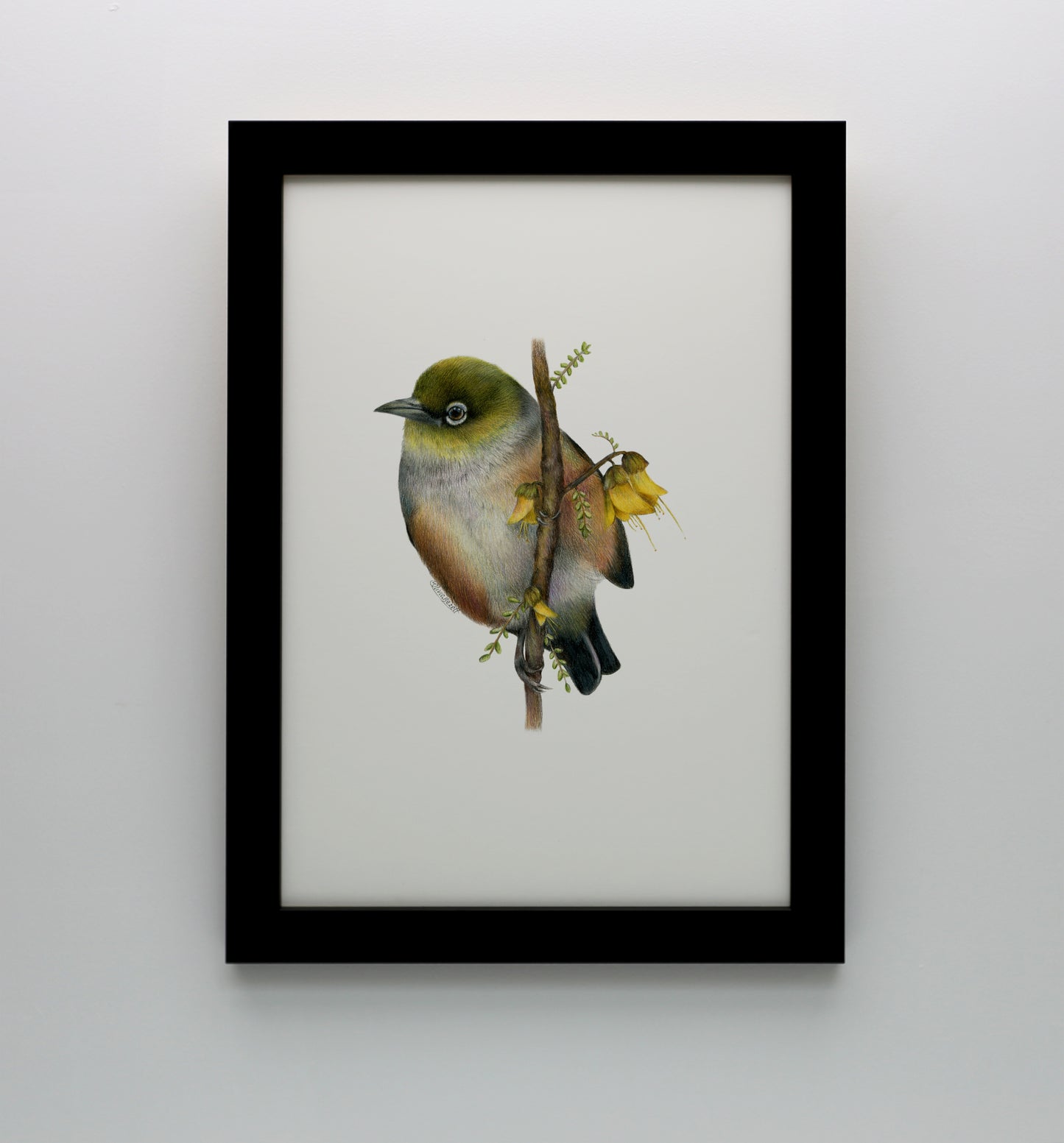 Waxeye Print