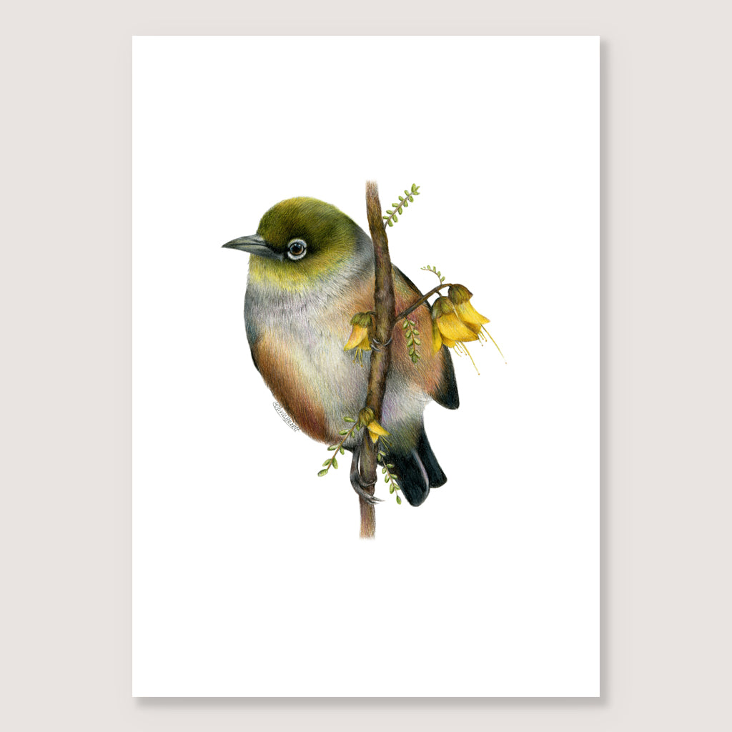 Waxeye Print
