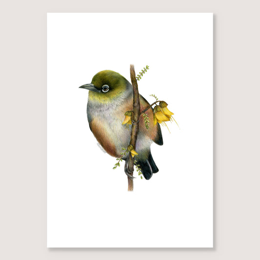 Waxeye Print