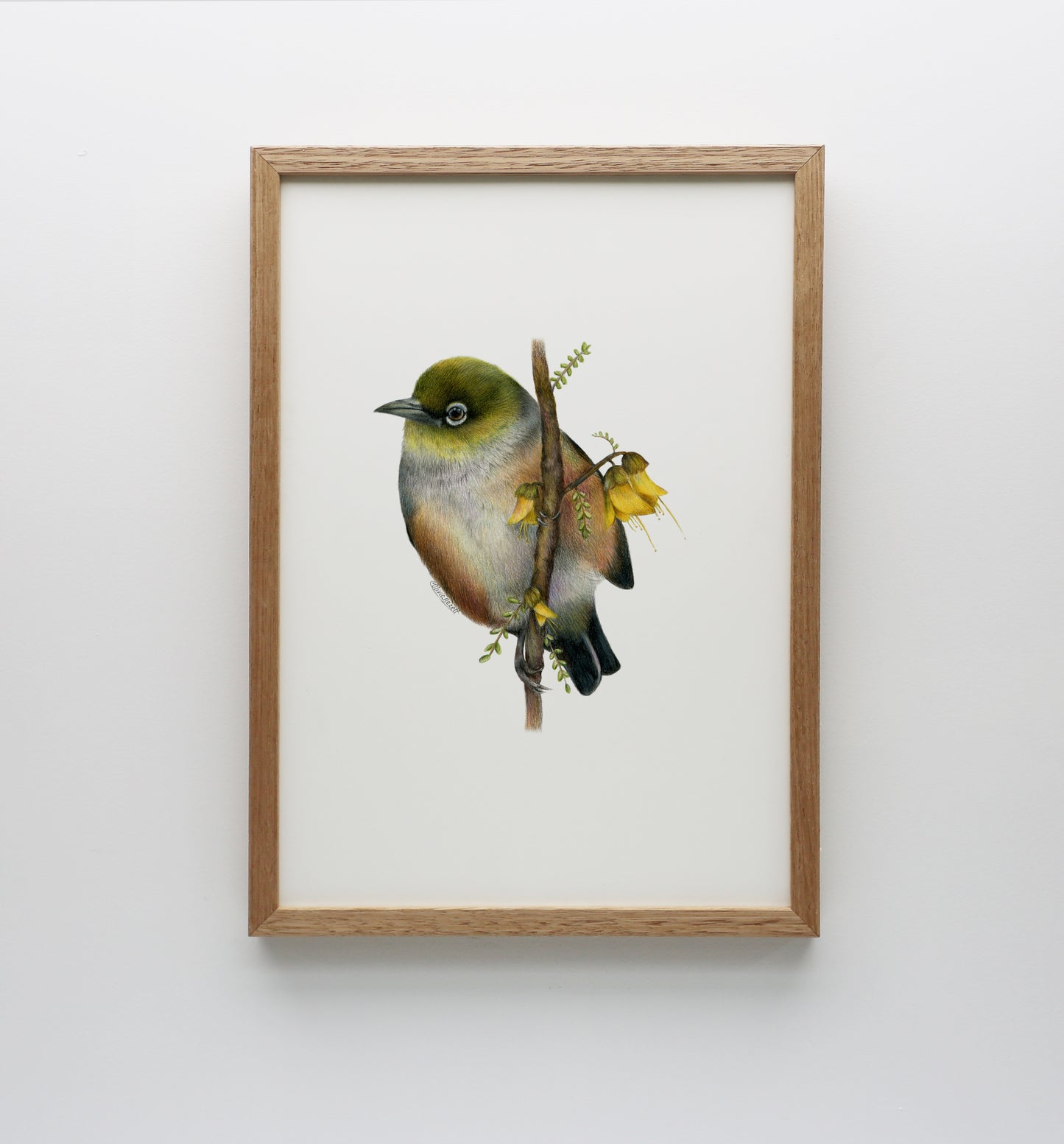 Waxeye Print