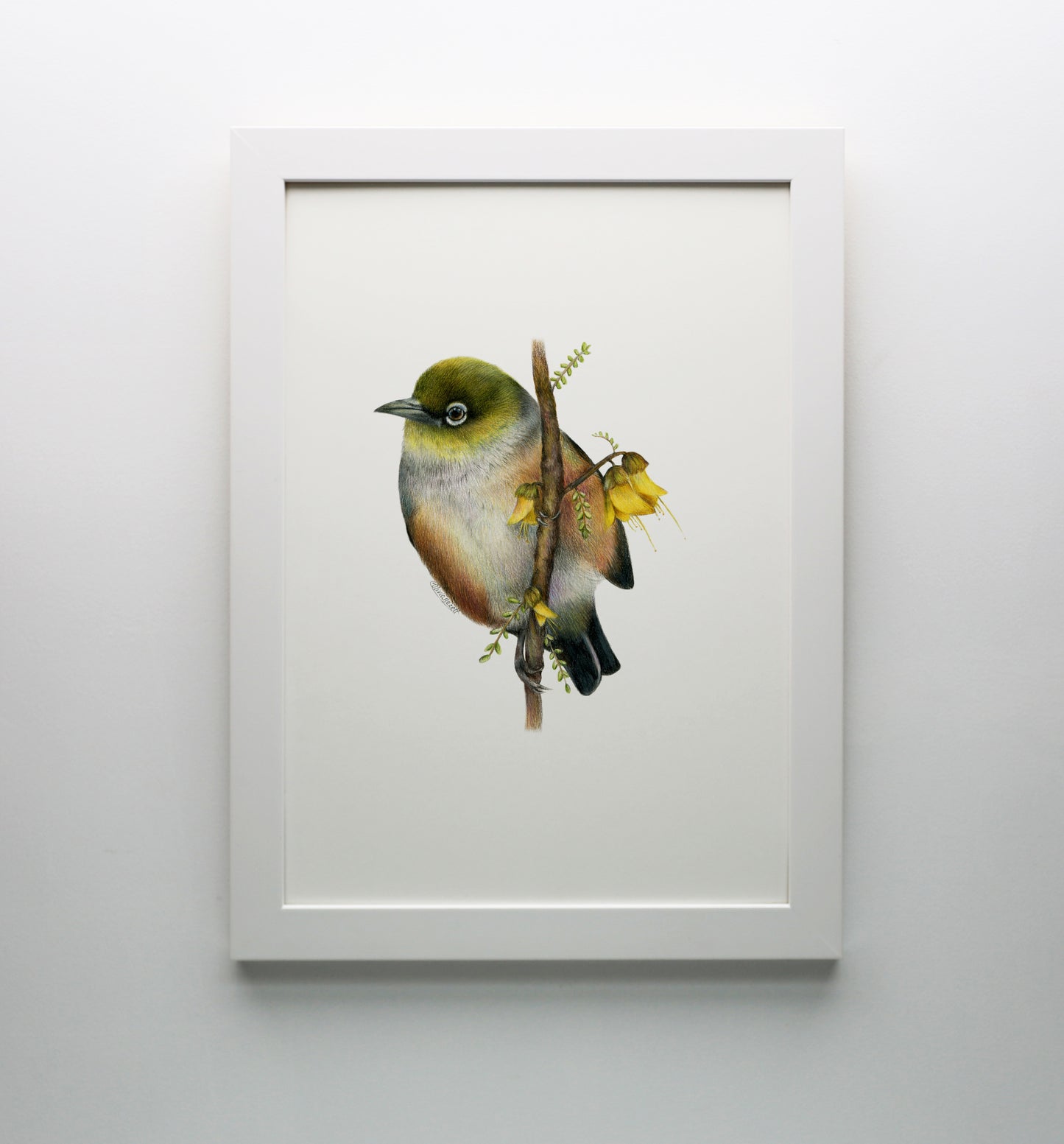 Waxeye Print