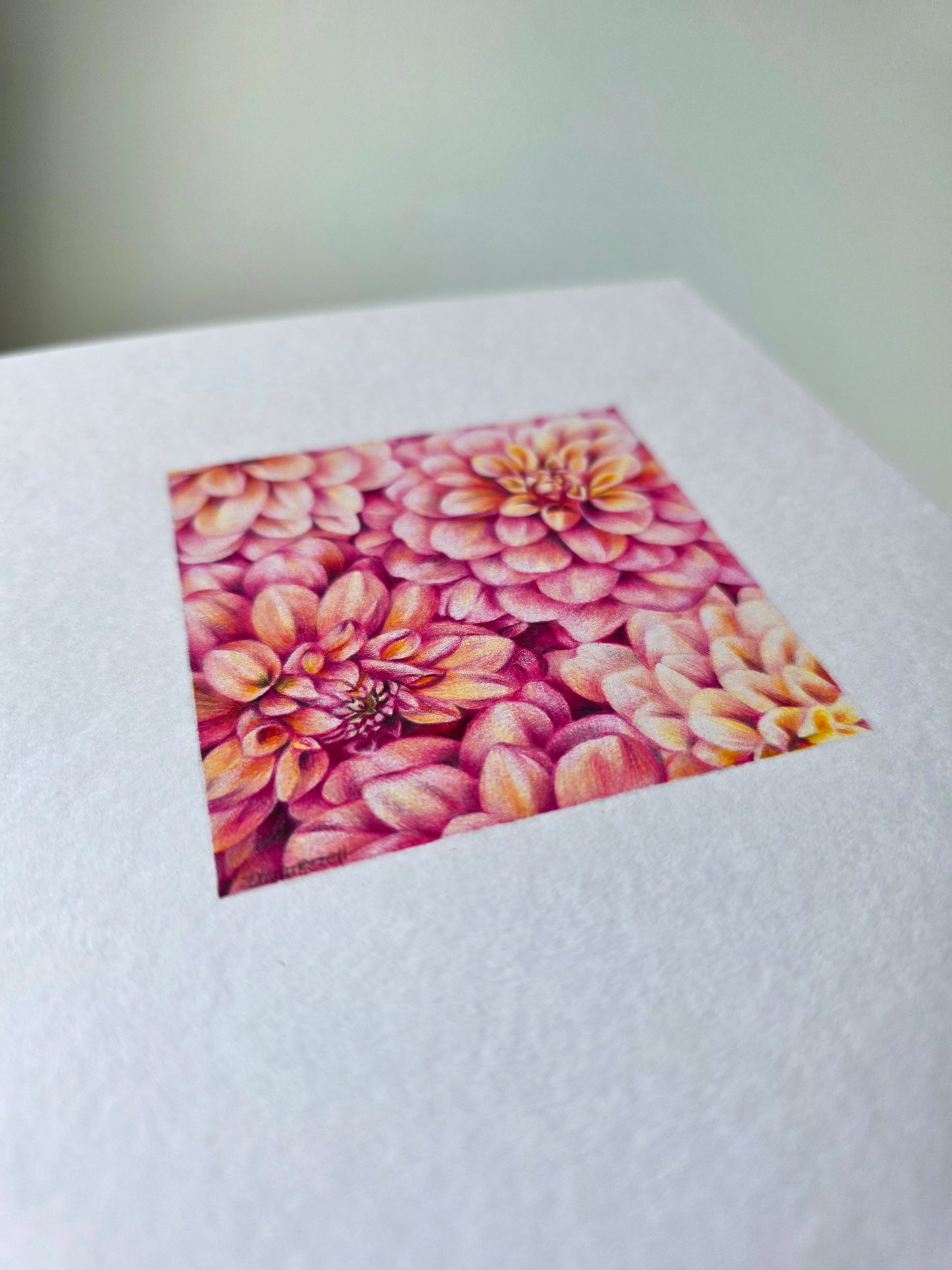 Original 'Dahlias'