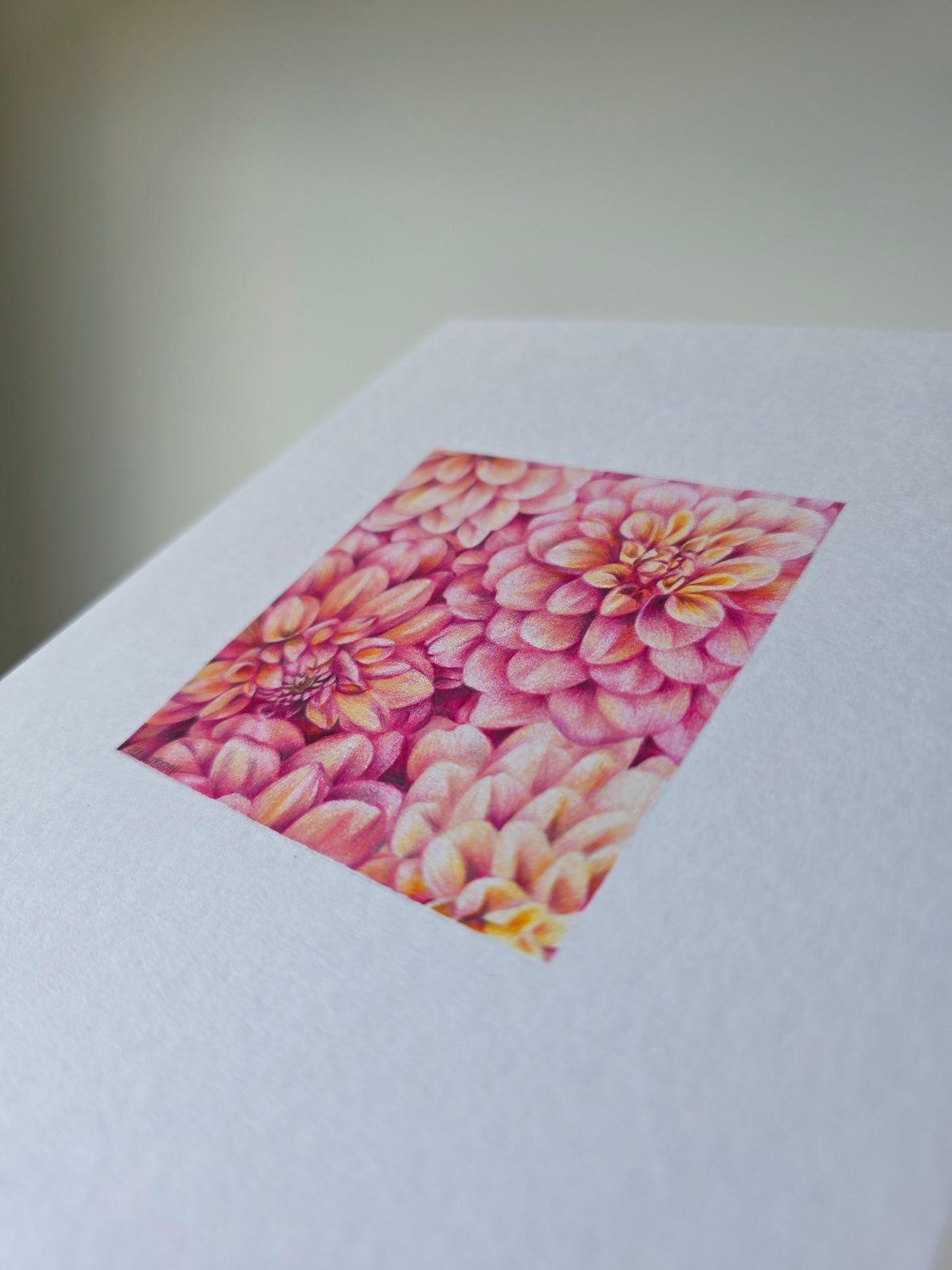 Original 'Dahlias'