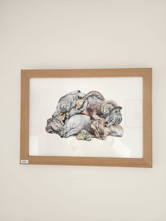 SALE - Framed 'Safari Sleepers' print, A3
