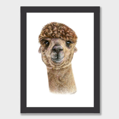 Alpaca Print