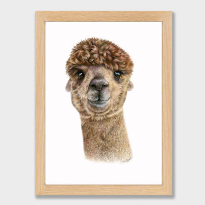 Alpaca Print