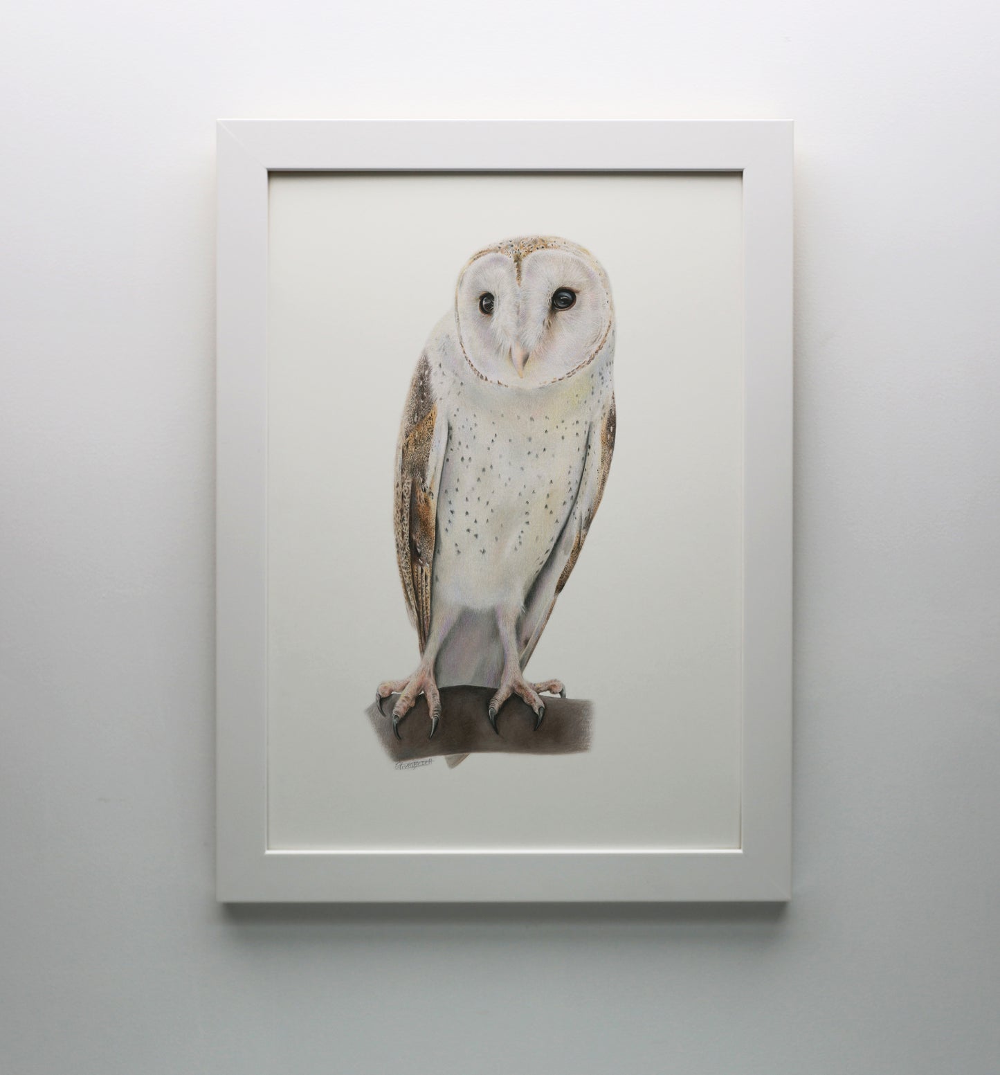 Barn Owl Print