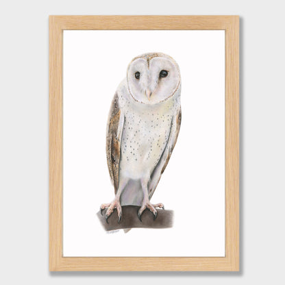 Barn Owl Print