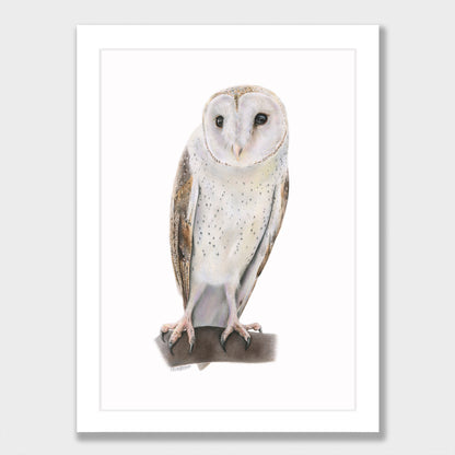 Barn Owl Print