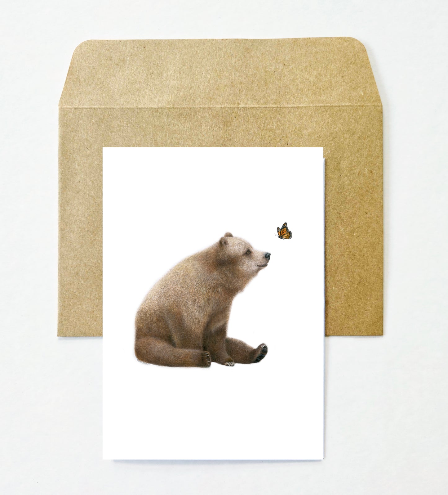 Woodland 12 Pack Greeting Card set